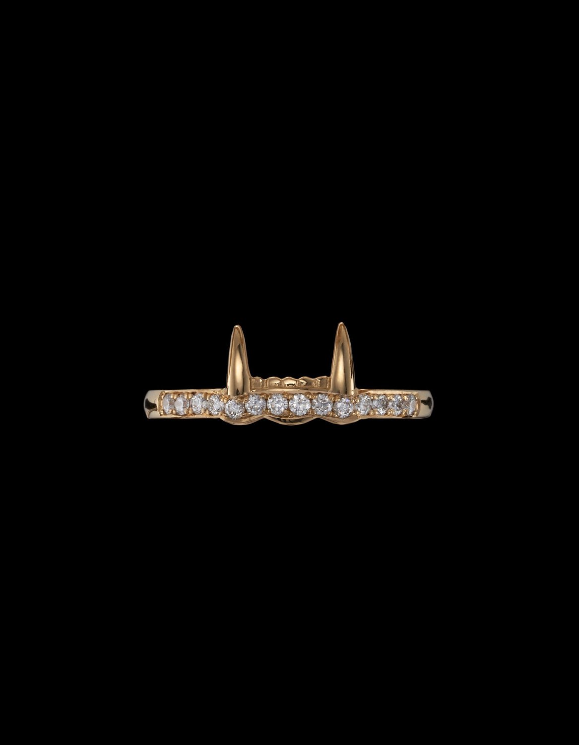 Jaw Lower Diamond Ring-image-0