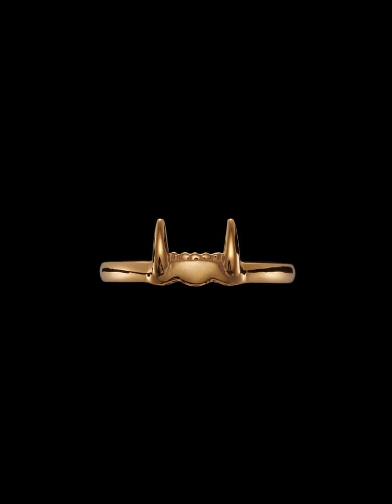 Gold Plated Silver