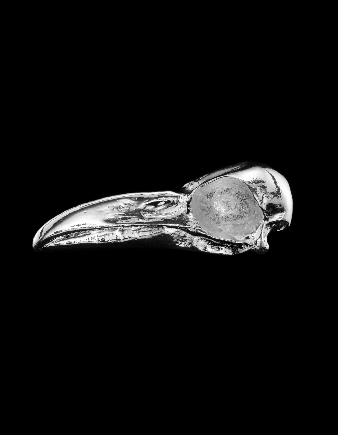 Ravens Skull Paperweight-image-1
