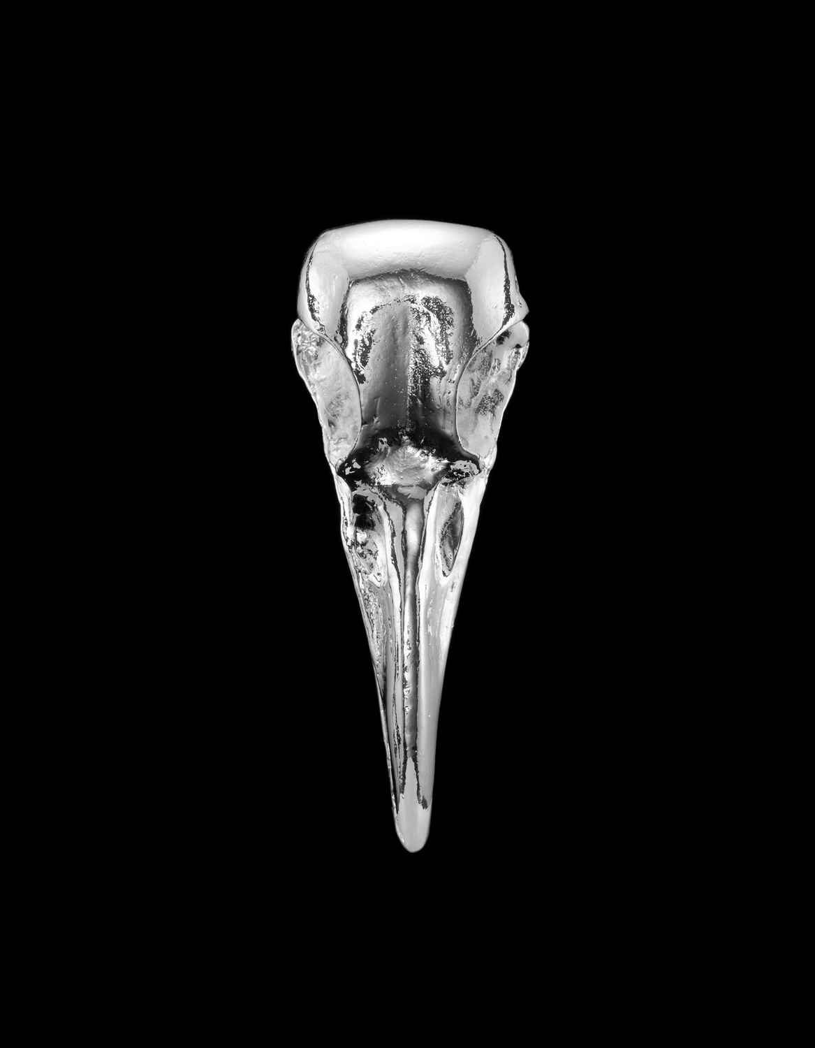 Ravens Skull Paperweight-image-2