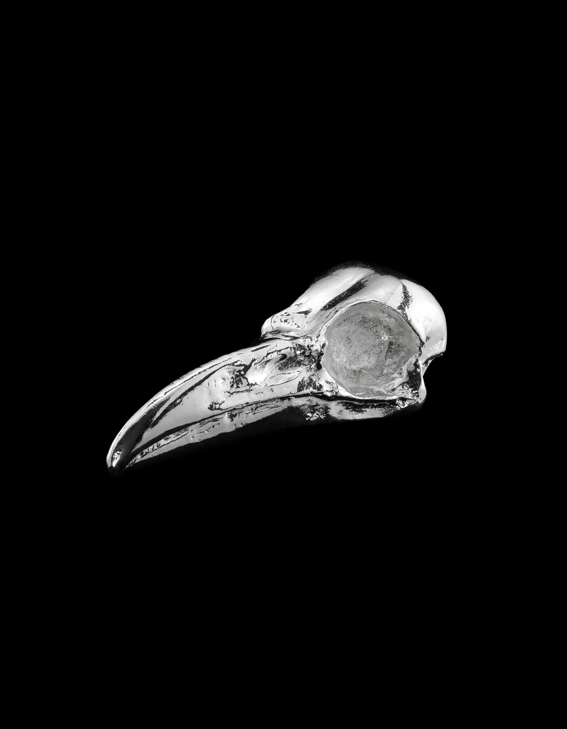 Ravens Skull Paperweight-image-0
