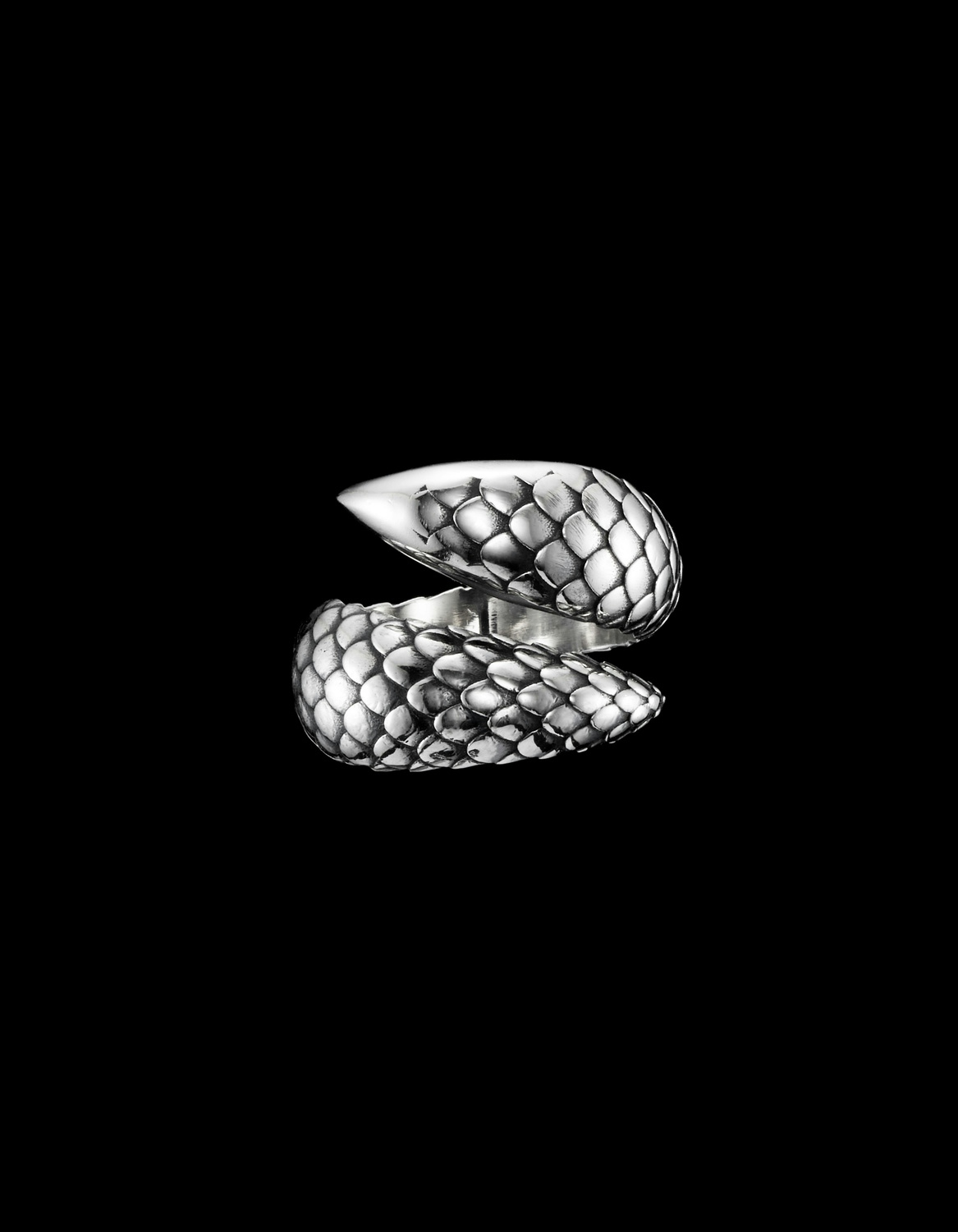 Sea Serpent Ring-image-0