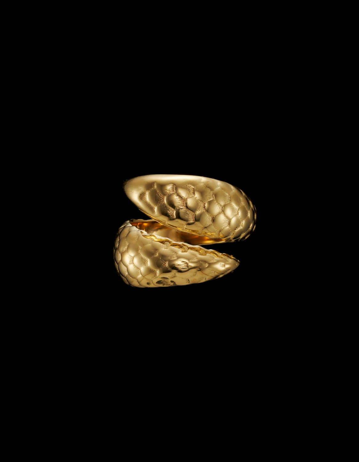 Sea Serpent Ring-image-0