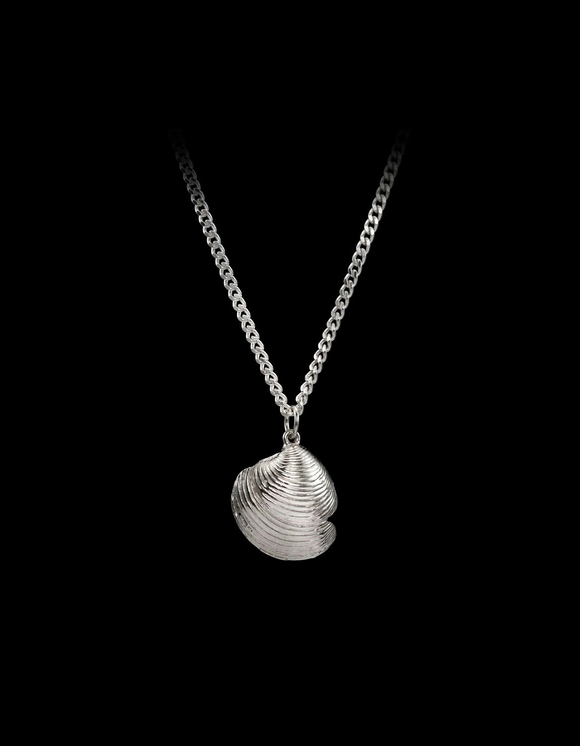 Treasure Shell Necklace-image-0