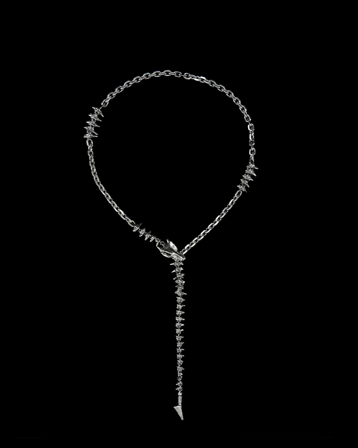 Dragon Chain Long Necklace-image-0