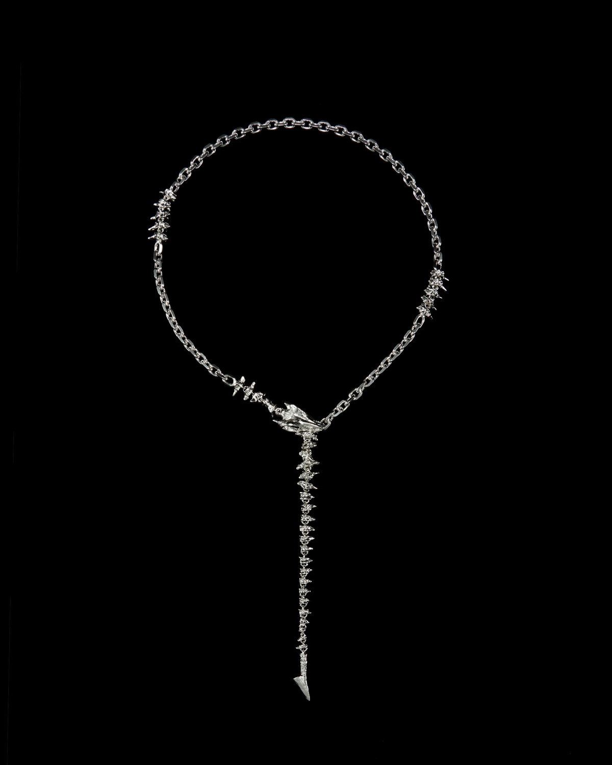 Dragon Chain Long Necklace-image-0