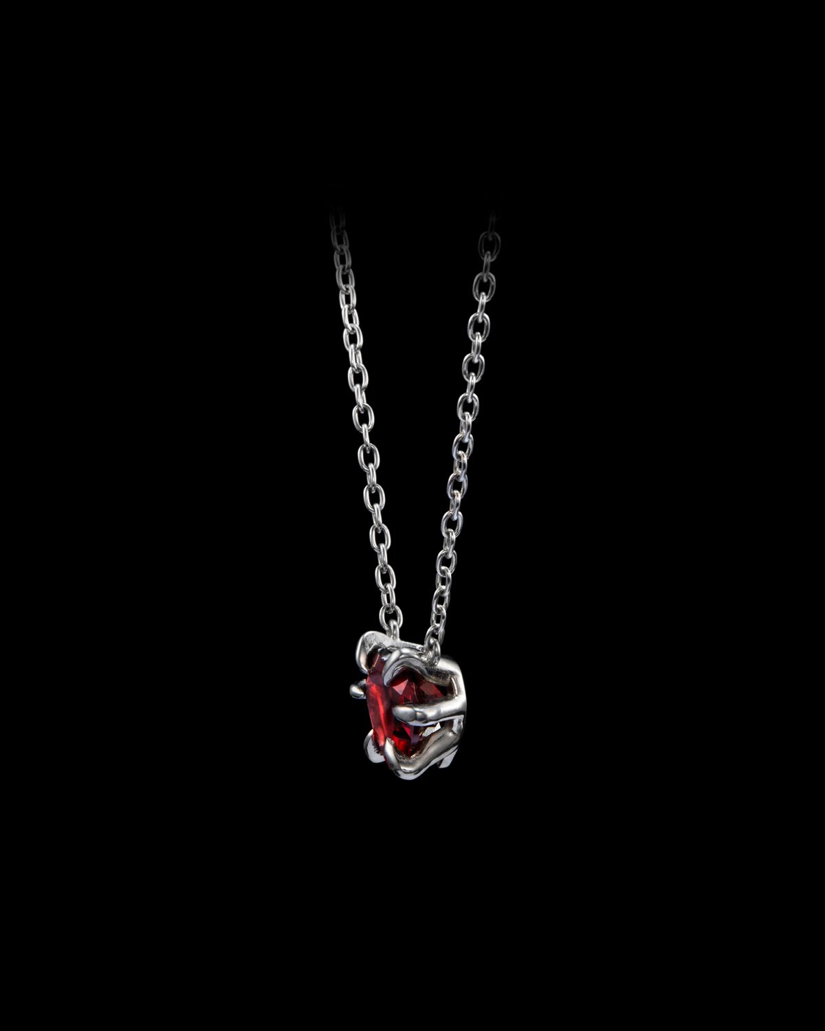 Captured Heart Necklace-image-1