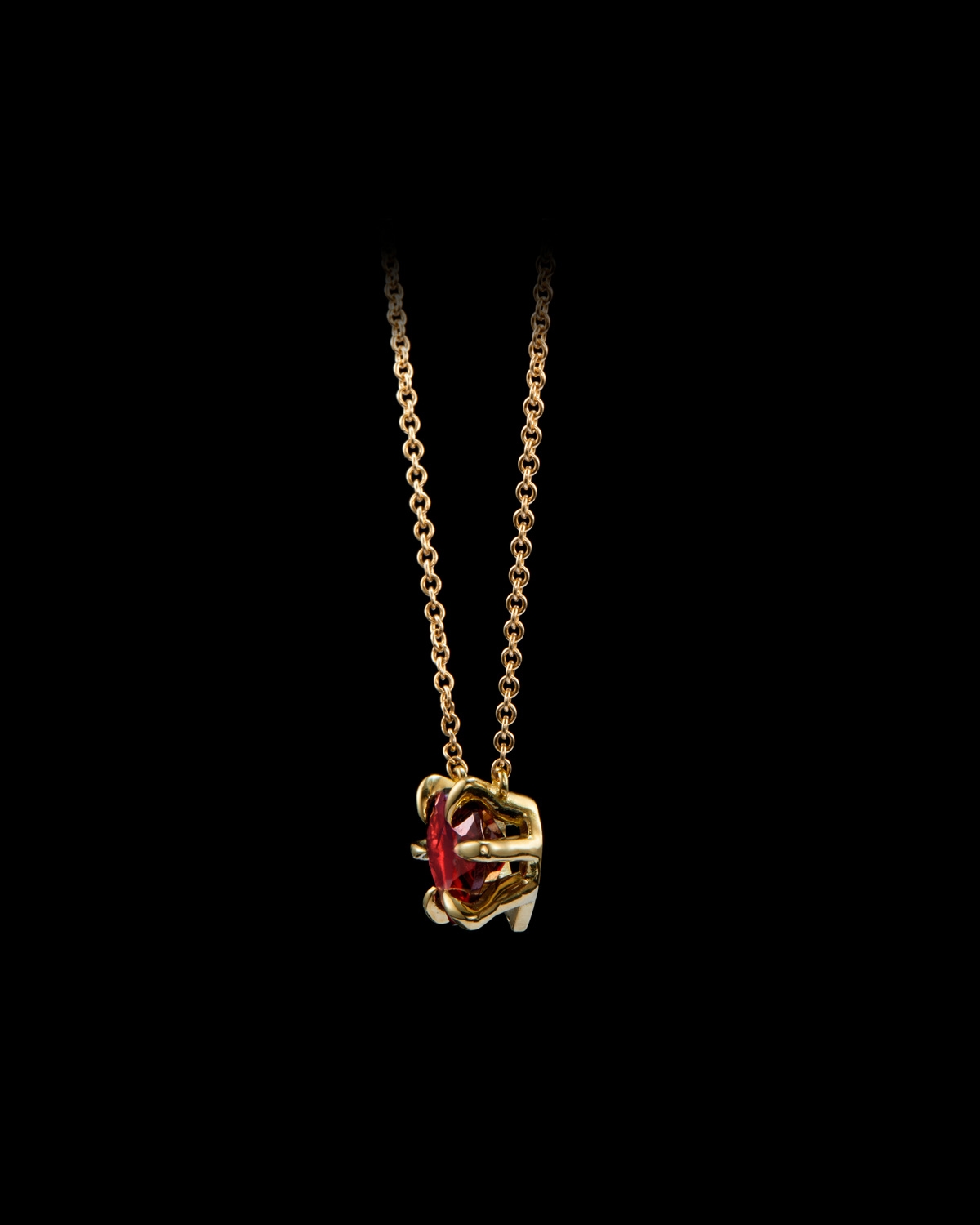 Captured Heart Necklace-image-2