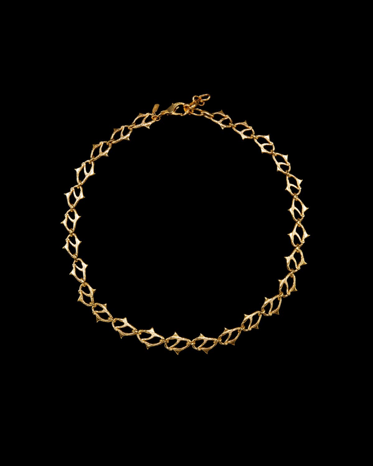 Thorn Chain Long Necklace