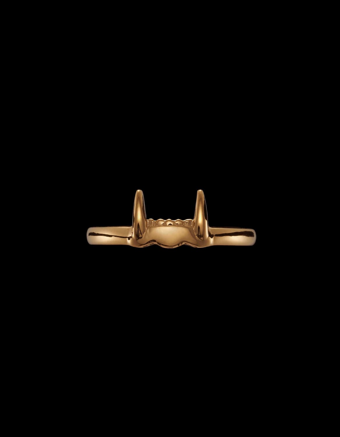 Jaw Lower Ring