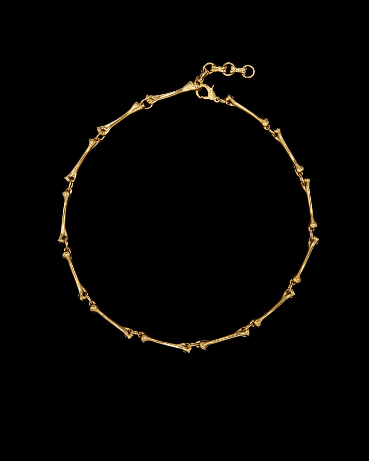 Linked Bone Necklace