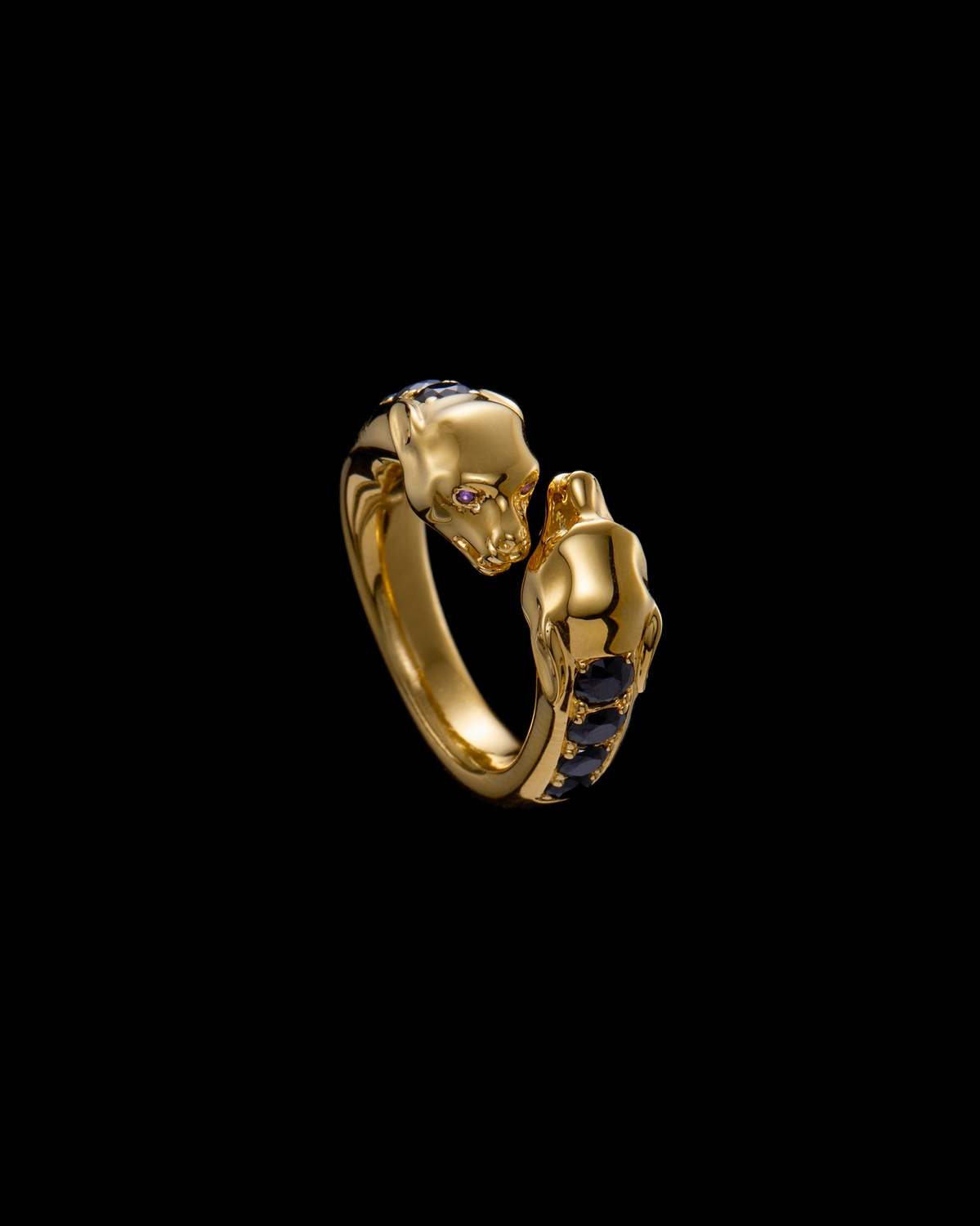 The Nocturnal Guardian Ring-image-1