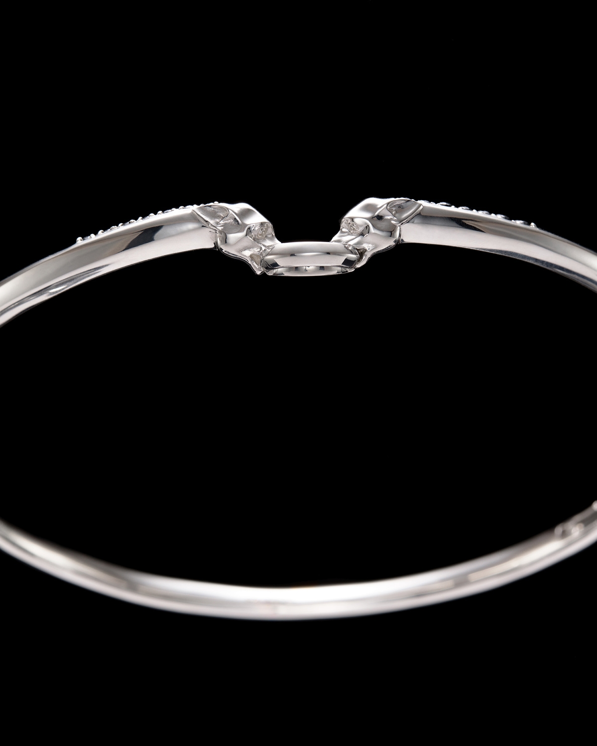 The Nocturnal Guardian Choker-image-1