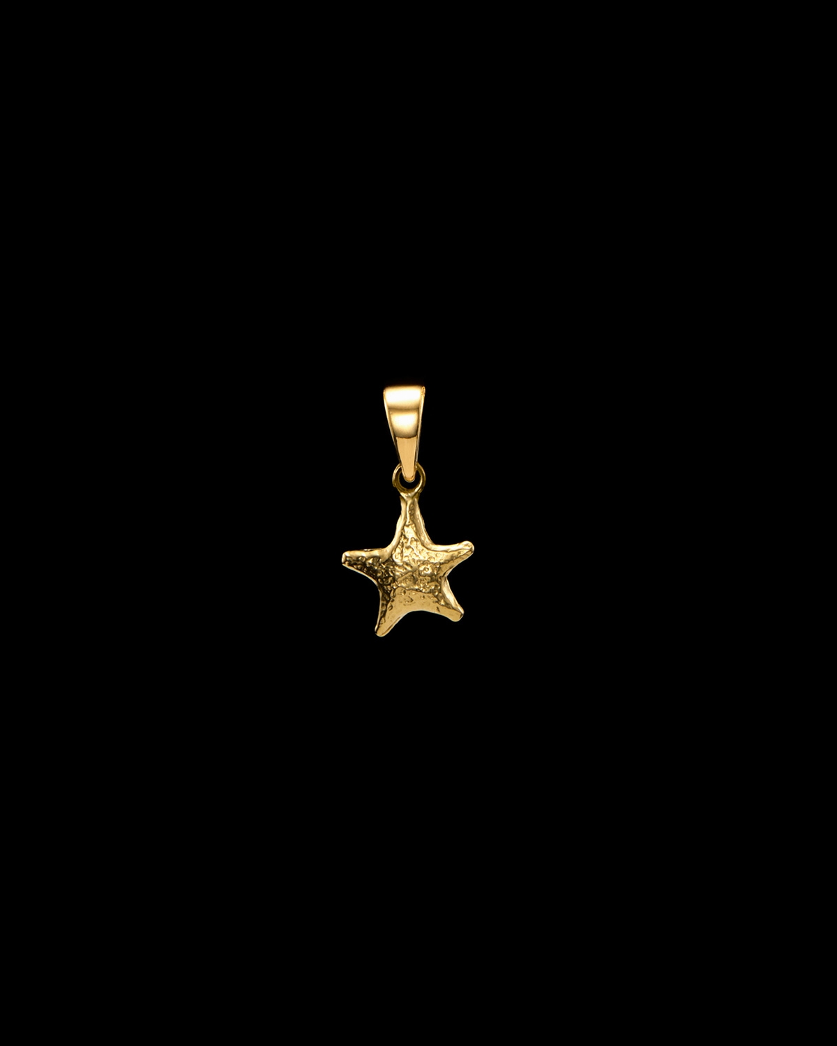 Tiny Tuvstarr's Star Charm-image-0