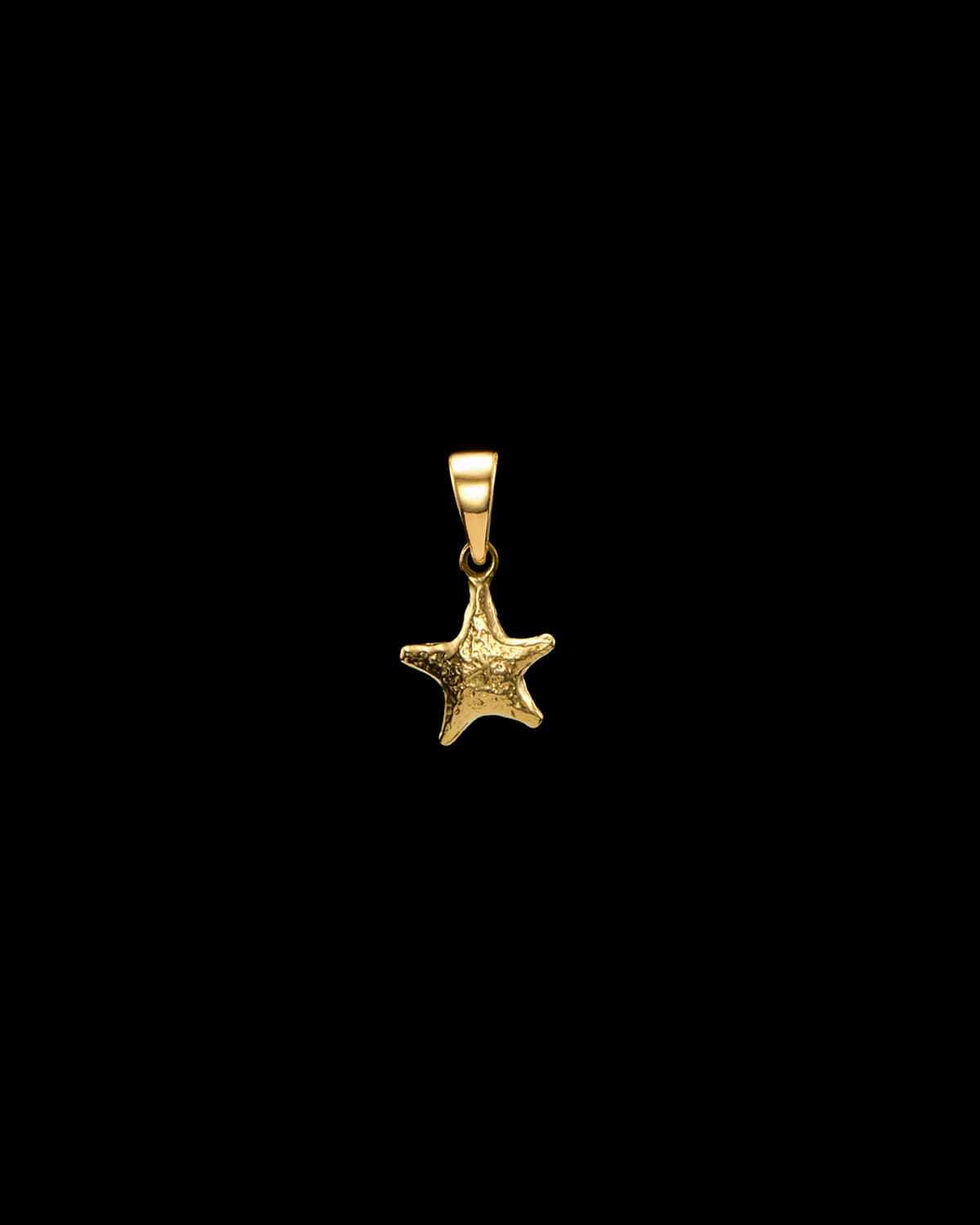 Tiny Tuvstarr's Star Charm