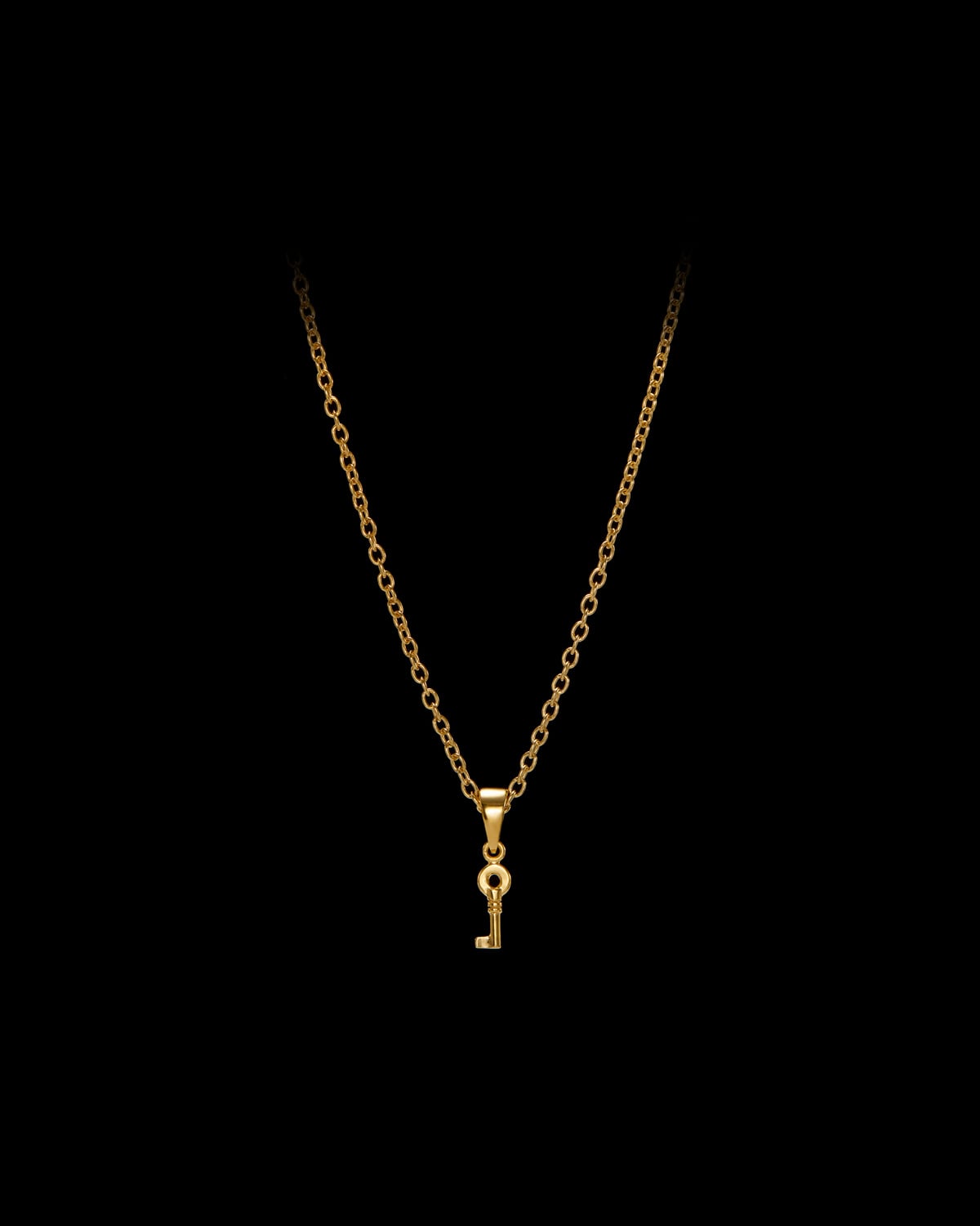 Tiny key necklace-image-0