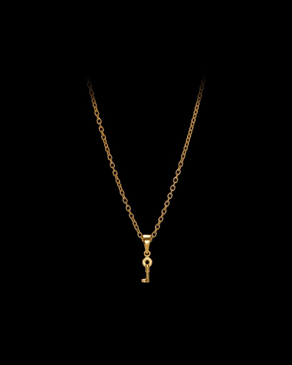 Tiny key necklace