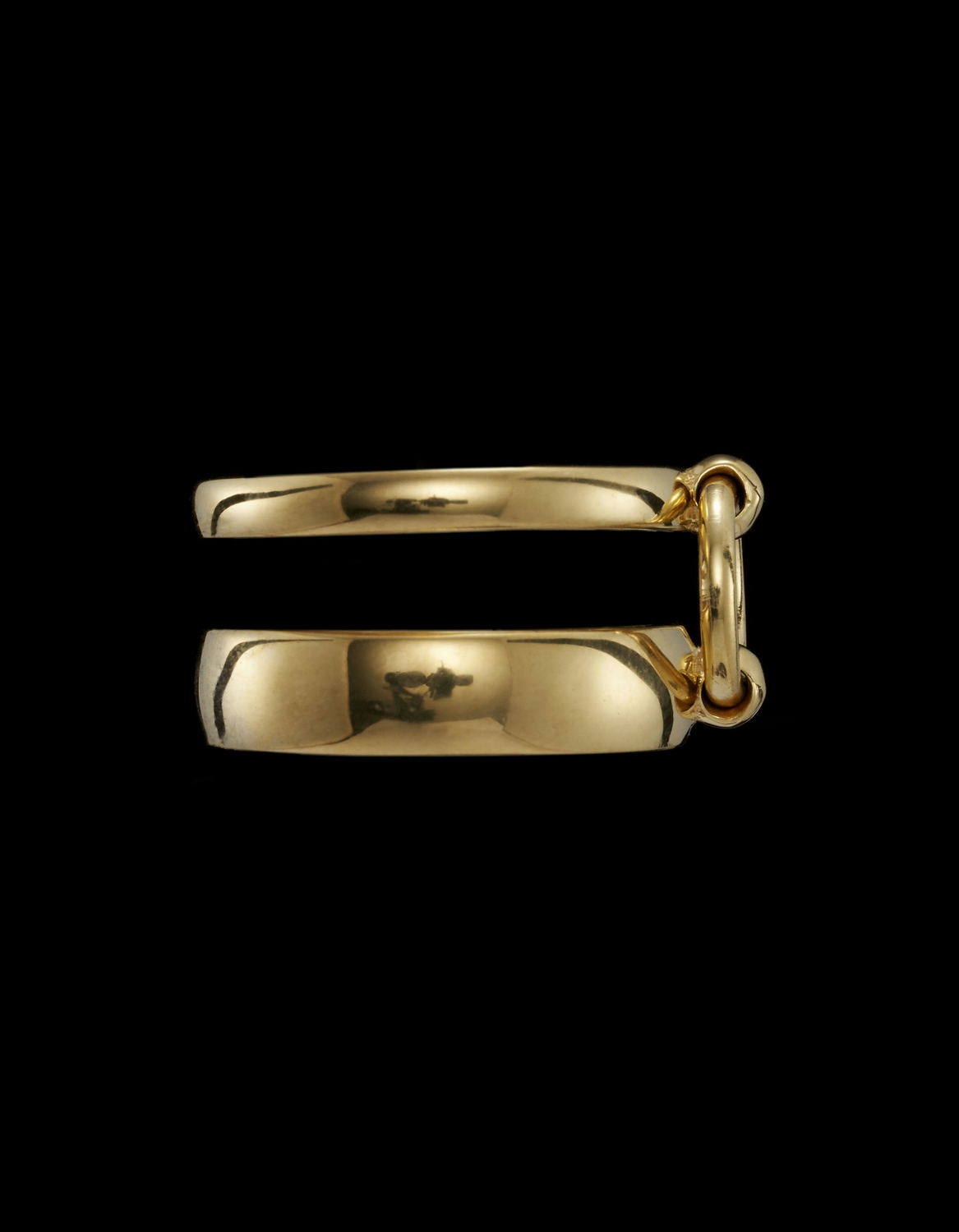 Equine Ring-image-1