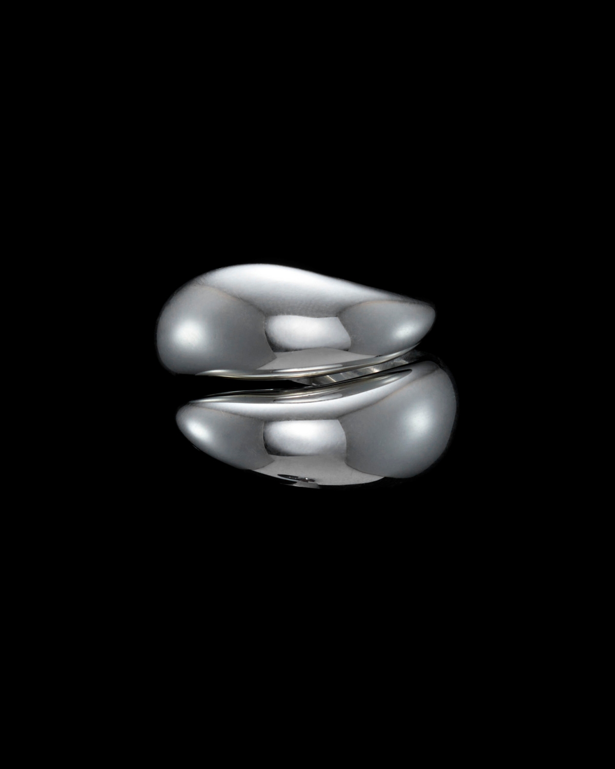 Iron Claw Ring-image-0