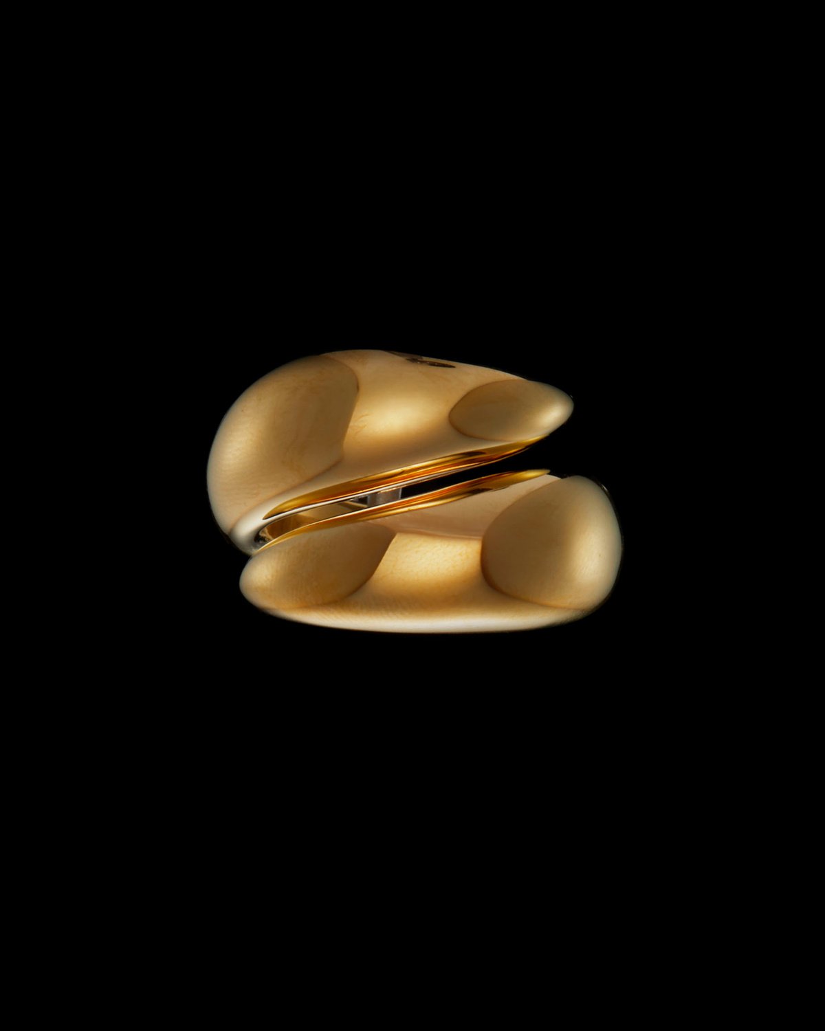 Iron Claw Ring-image-0