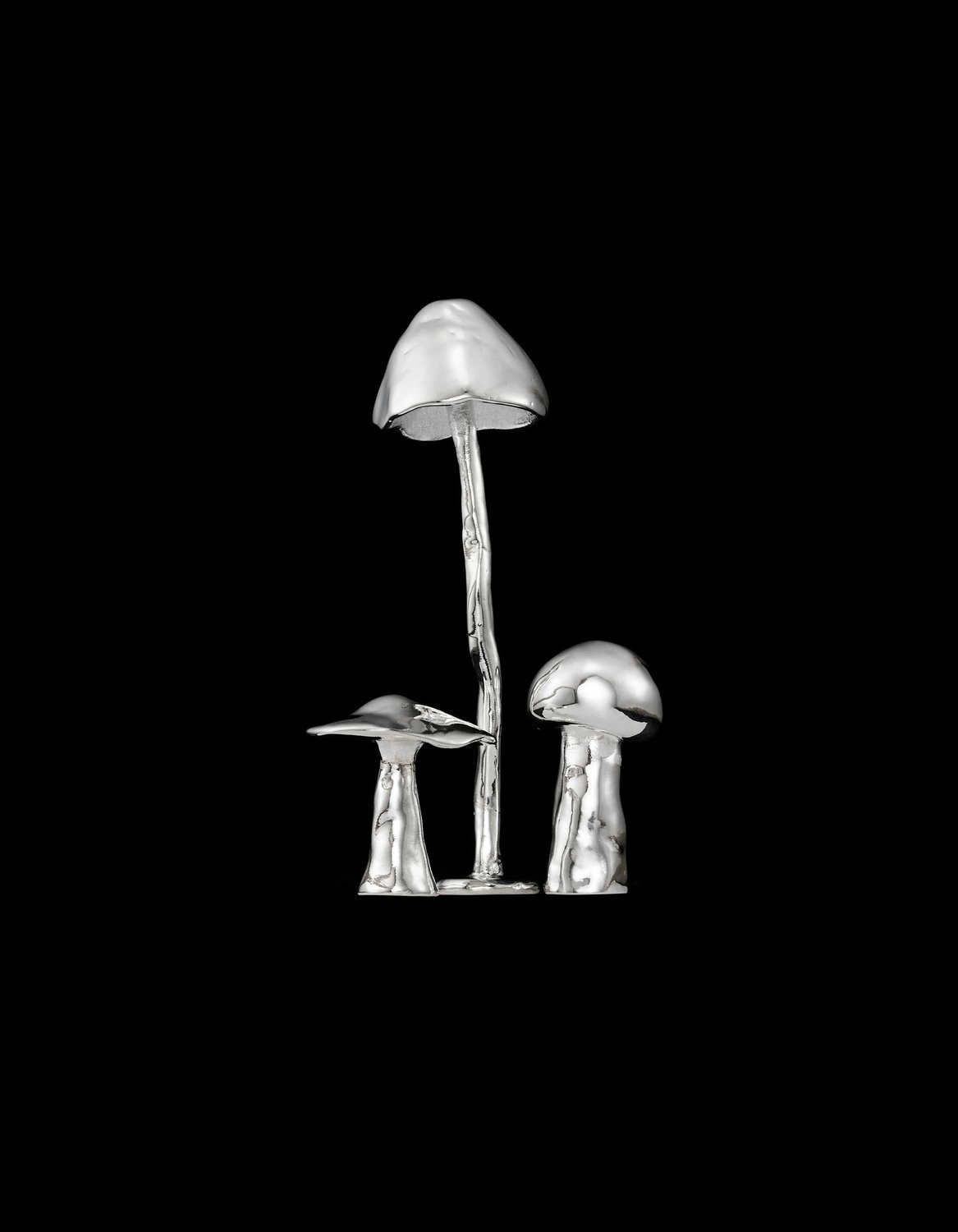 Enchanted Mushrooms-image-0